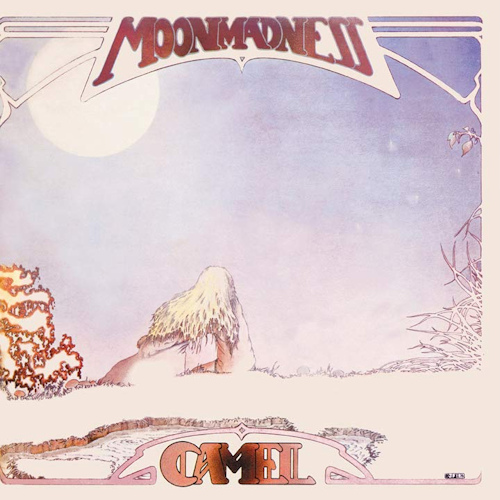 CAMEL -- MOONMADNESSCAMEL -- MOONMADNESS.jpg